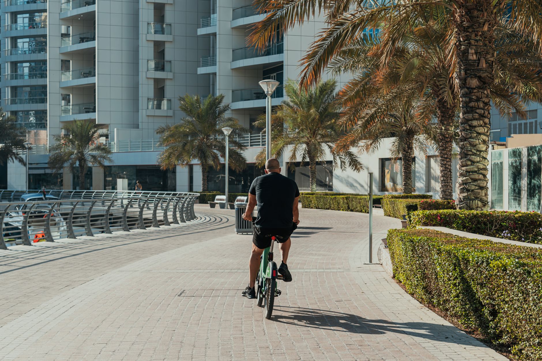 Dubai rents trends